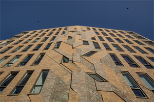 Kunst van baksteen voor Huis van Hendrik